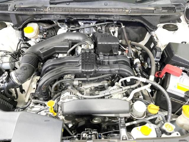 Subaru SUBARU 2019-08 3173-18