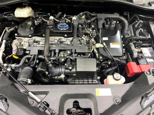 Toyota C-HR 2017-03 180850-19
