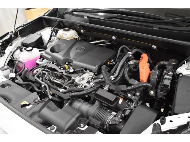 Toyota RAV4 2020-09 6200-25