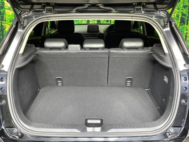 Mazda CX-3 2015-03 184517-10