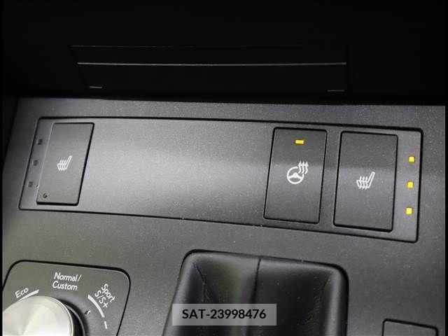 Lexus IS 2023-07 388355-14