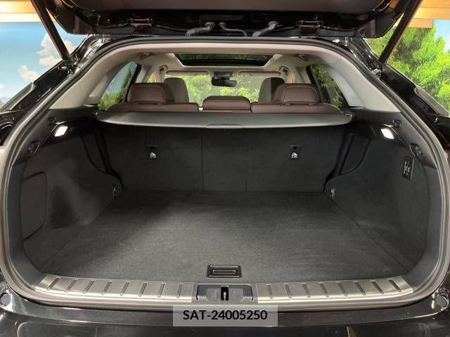 Lexus RX 2019-12 275771-10