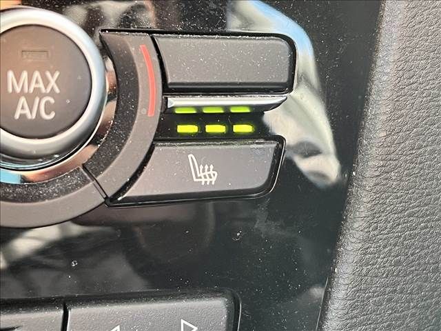 Bmw X4 2015-12 22445-7