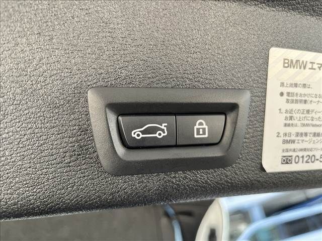 Bmw X4 2015-12 22445-6