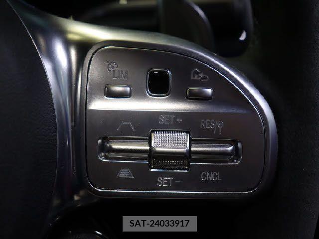 Amg A-Class 2021-02 217722-14