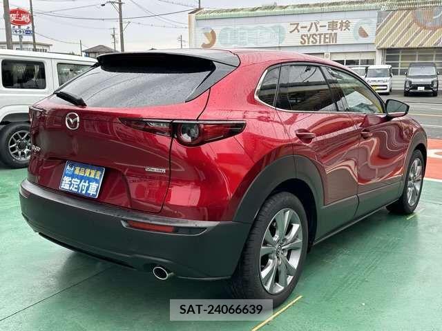 Mazda CX-30 2021-08 302118-4