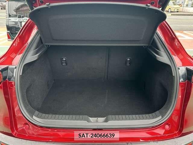 Mazda CX-30 2021-08 302118-13