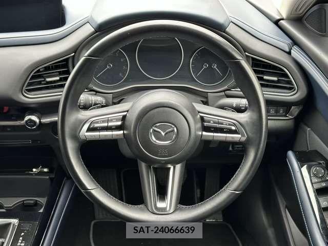 Mazda CX-30 2021-08 302118-12