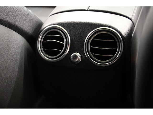 Mercedes Benz GLC-CLASS 2017-03 12347-15
