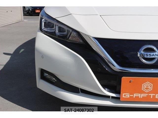 Nissan LEAF 2018-02 219620-9