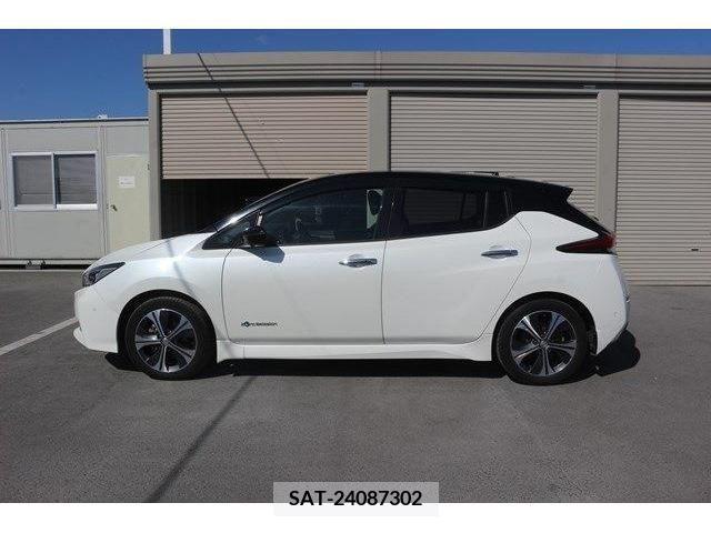 Nissan LEAF 2018-02 219620-8