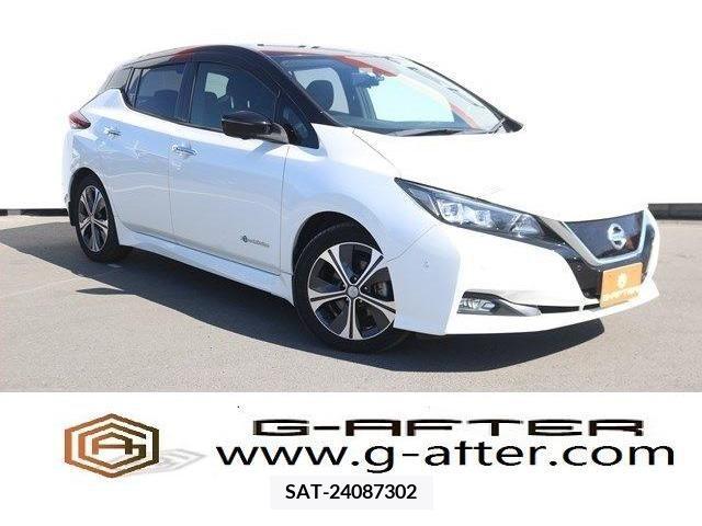 Nissan LEAF 2018-02 219620-0