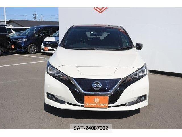 Nissan LEAF 2018-02 219620-5