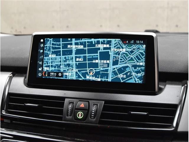 Bmw 2 SERIES 2018-03 3958-18