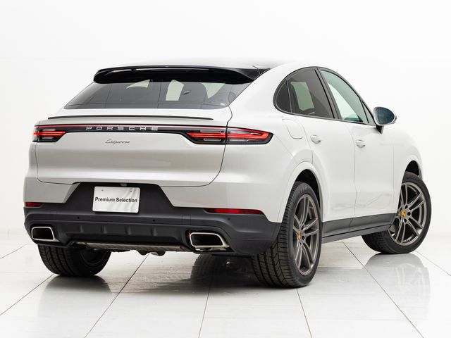 Porsche CAYENNE 2020-03 15830-9