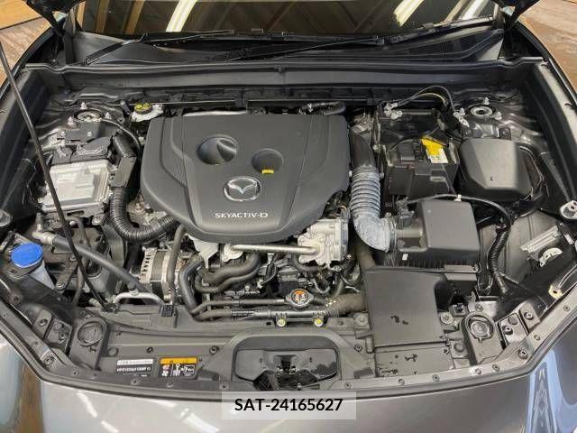 Mazda CX-30 2021-12 295870-19