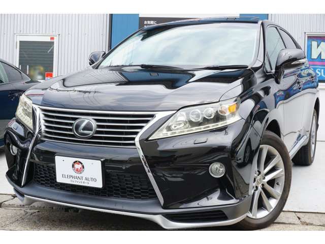 Lexus RX 2012-07 4785-6