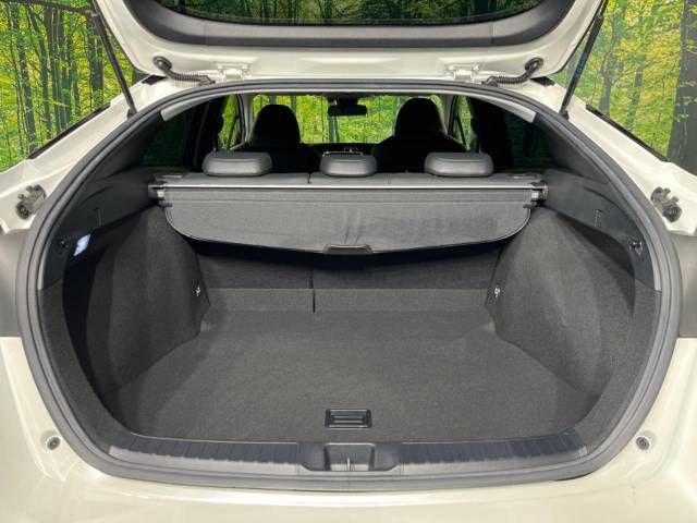 Toyota PRIUS 2019-06 11250-10