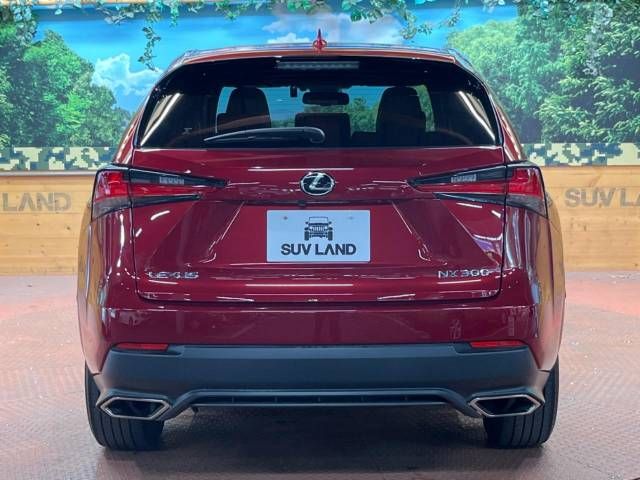 Lexus NX 2020-03 23833-17