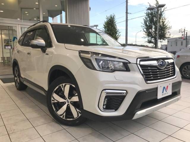 Subaru FORESTER 2018-09 22349-19