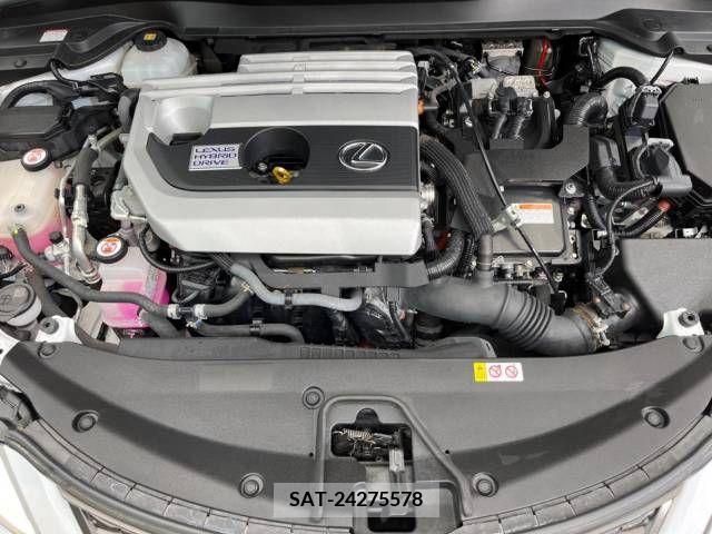 Lexus UX 2019-08 388398-18