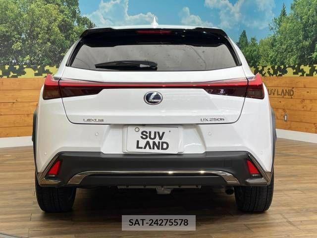 Lexus UX 2019-08 388398-15