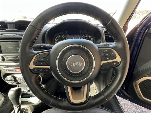 Jeep RENEGADE 2017-03 193973-16
