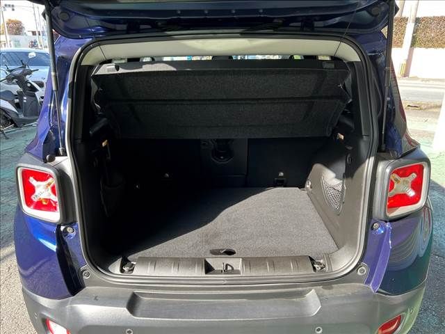 Jeep RENEGADE 2017-03 193973-9