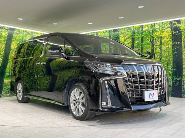 Toyota ALPHARD 2020-10 14307-17