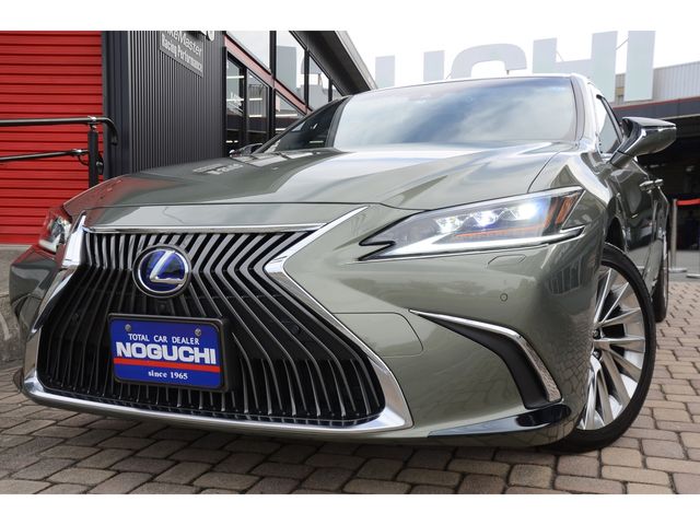 Lexus ES 2019-03 25334-0