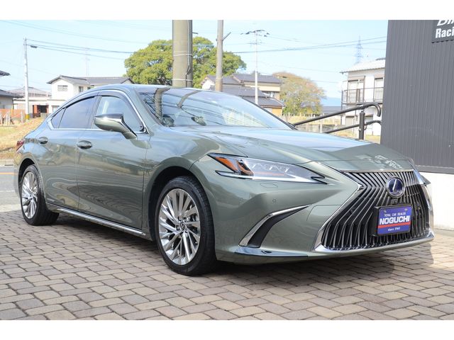 Lexus ES 2019-03 25334-2
