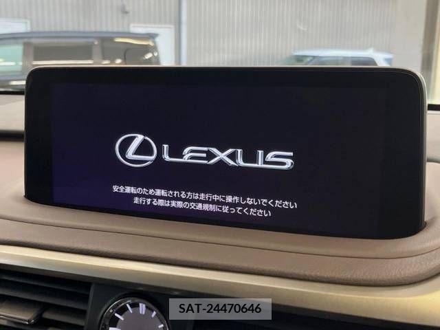 Lexus RX 2021-06 388265-2