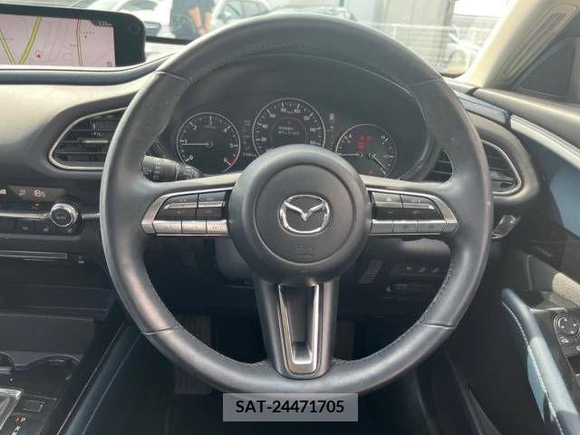 Mazda CX-30 2020-08 295609-11