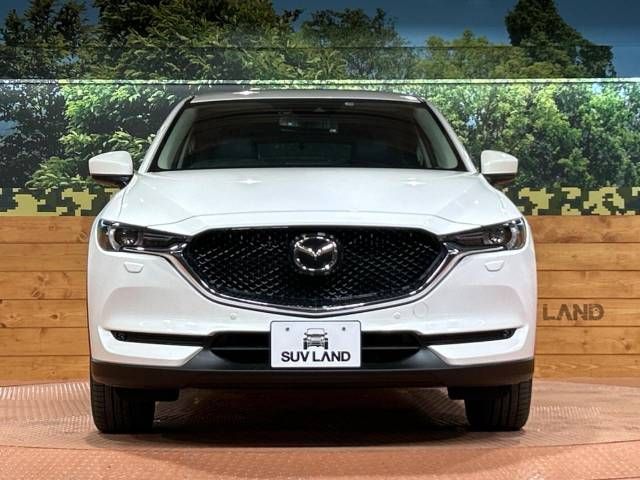Mazda CX-5 2017-10 193503-14