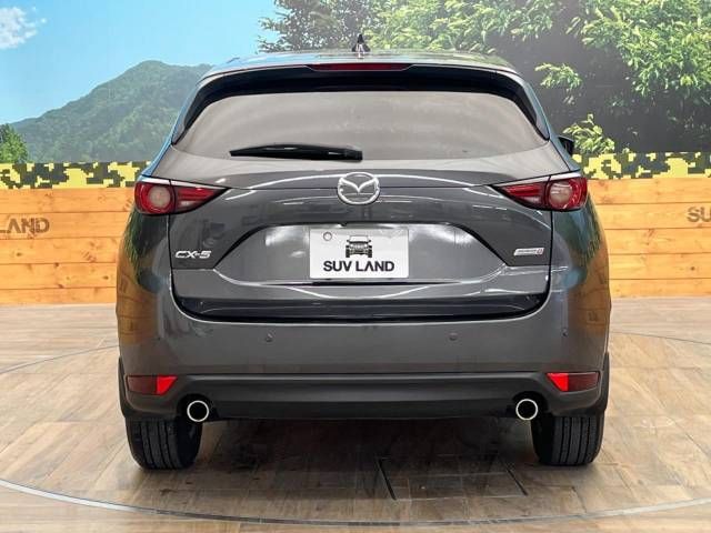 Mazda CX-5 2017-06 28923-15