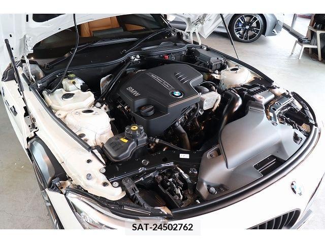 Bmw Z4 2014-06 318831-12