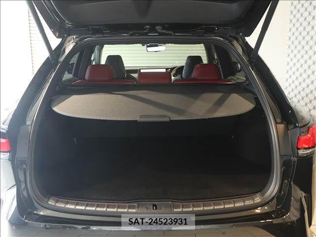 Lexus RX 2023-10 334460-18