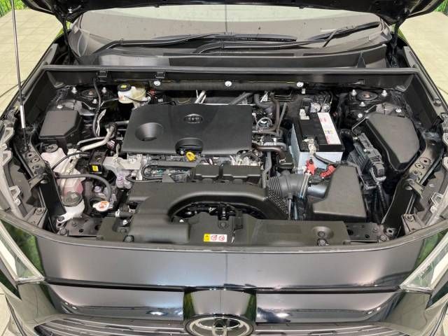 Toyota RAV4 2019-08 190588-18