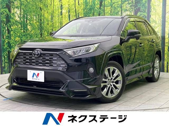 Toyota RAV4 2019-08 190588-0
