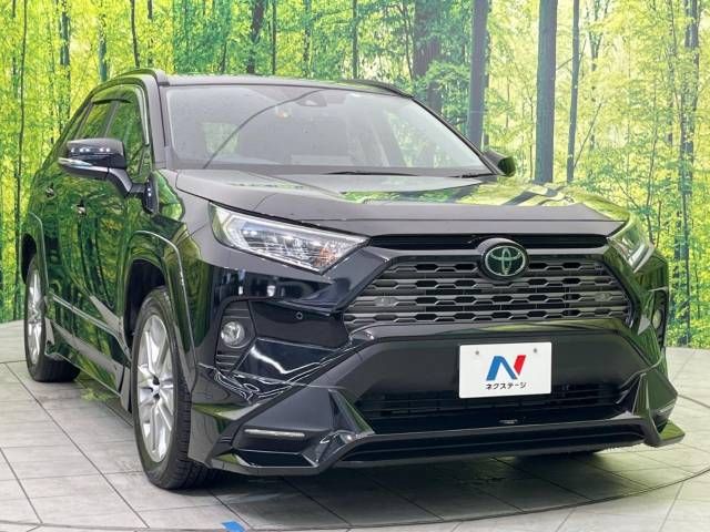 Toyota RAV4 2019-08 190588-16