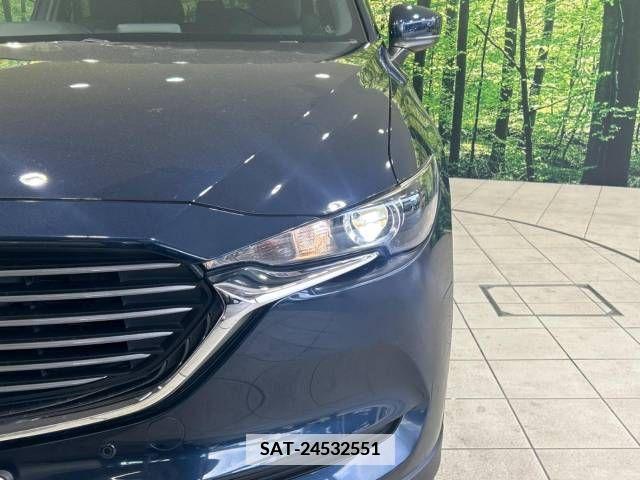 Mazda CX-8 2018-04 343645-13