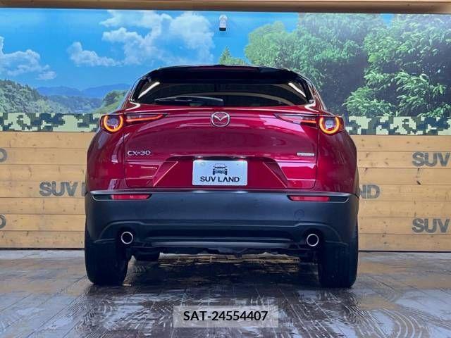 Mazda CX-30 2021-05 209870-15