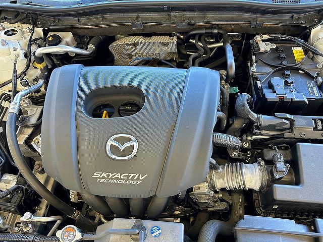 Mazda AXELA SPORT 2017-08 20134-27