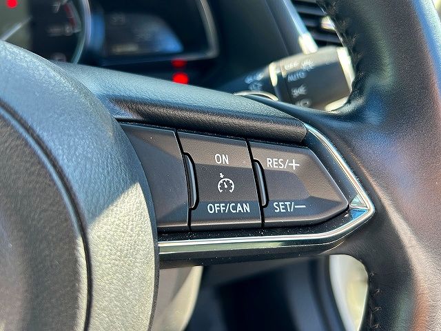 Mazda AXELA SPORT 2017-08 20134-11