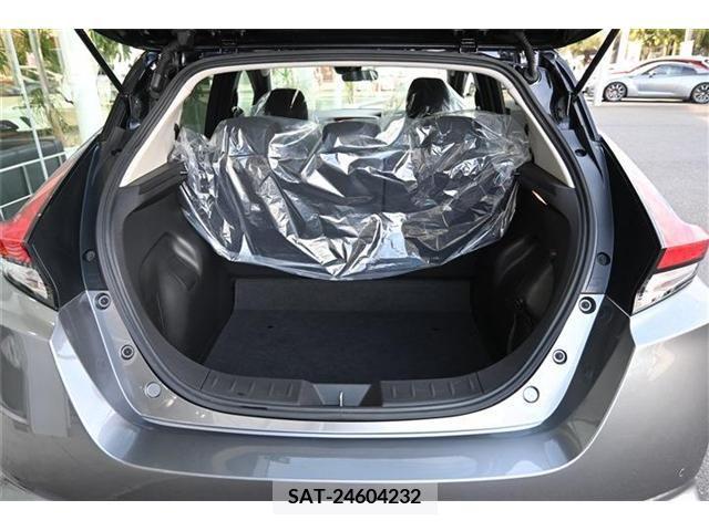 Nissan LEAF 2019-05 256388-17
