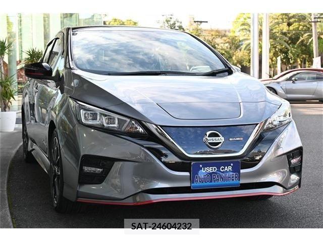 Nissan LEAF 2019-05 256388-6
