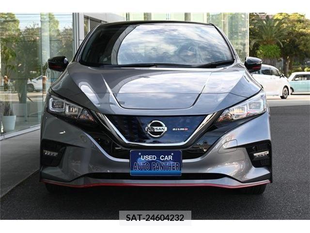 Nissan LEAF 2019-05 256388-7
