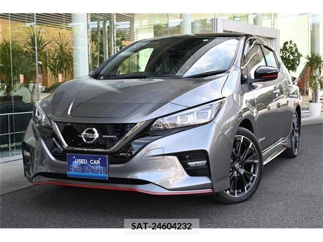 Nissan LEAF 2019-05 256388-0