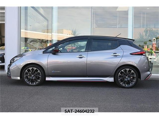 Nissan LEAF 2019-05 256388-1