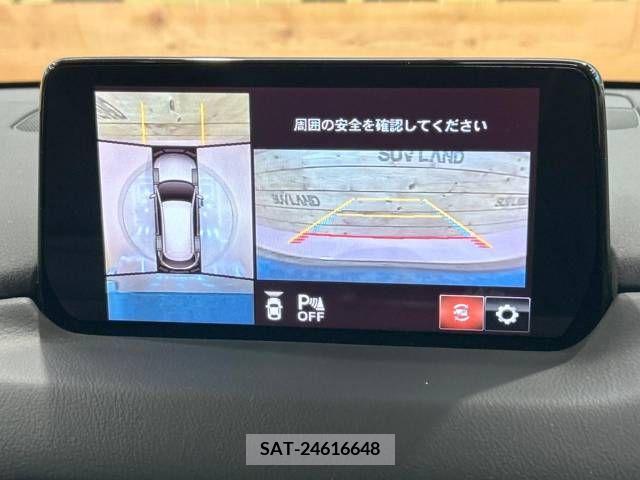 Mazda CX-8 2019-12 266196-4